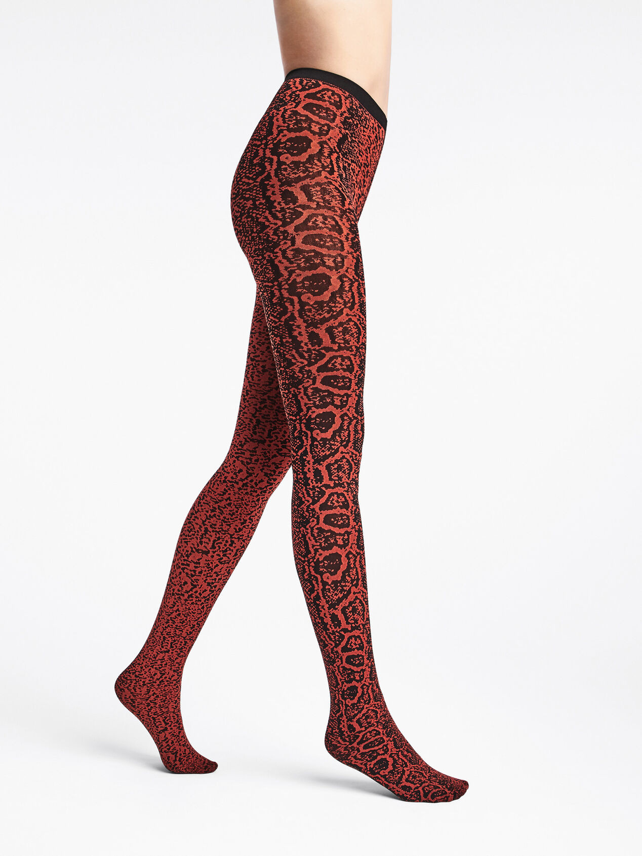 Wolford Collantspaschers Wolford Collantspaschers Collantspaschers Collants pas chers Le Moins Cher du Web Collantspaschers Wolford Blotched Snake Wolford
